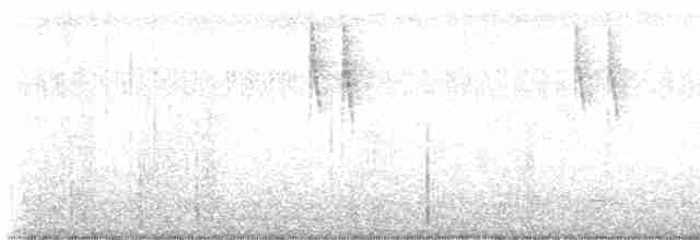 Gray Wagtail - ML491499051