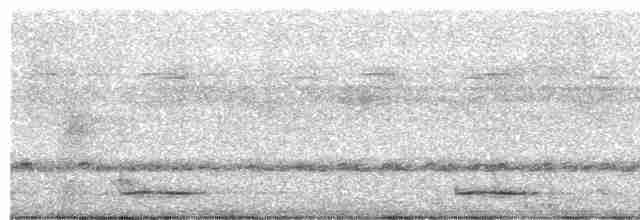 Short-tailed Nighthawk - ML491623401