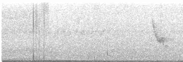 Kurşuni Vireo (notius/montanus) - ML491705961