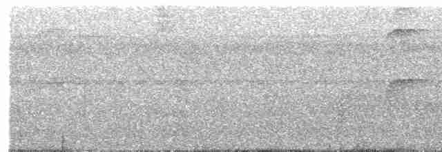 Fleckenbrust-Ameisenfänger - ML491706801