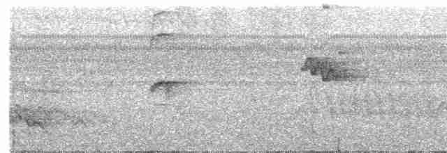Fleckenbrust-Ameisenfänger - ML491724311