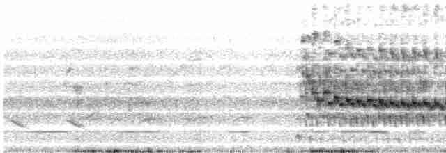Russet-crowned Crake - ML491726711