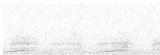 holub bažantí - ML491733361