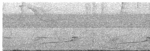 Пароарія жовтодзьоба - ML491745341