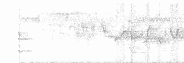 Spotless Crake - ML491795701