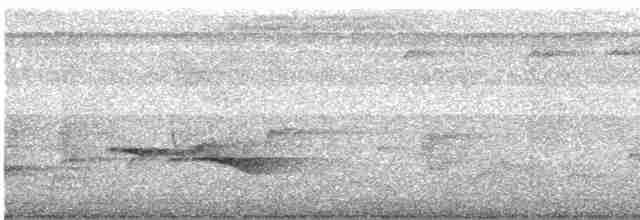 Puff-throated Babbler - ML491838261