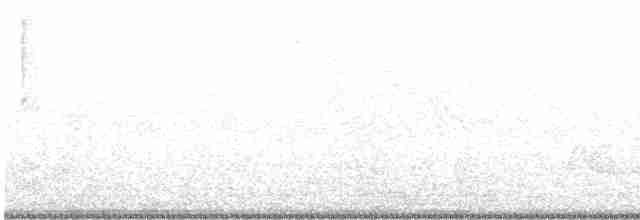 Élénie obscure - ML491911471