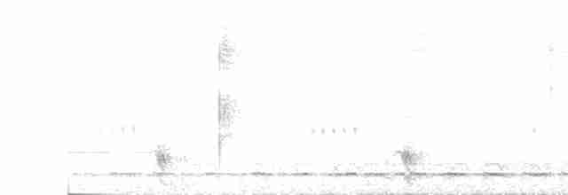 Prong-billed Barbet - ML491913921