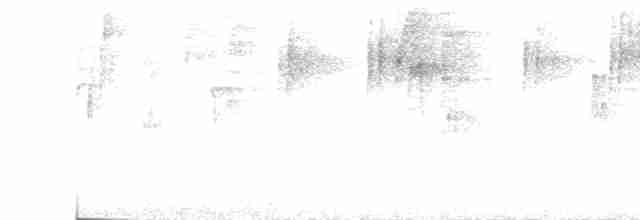 Черноухая корольковка - ML491914401