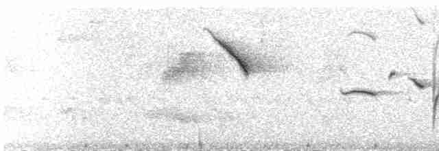 Azure-shouldered Tanager - ML491916971