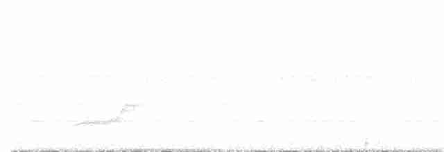 White-crowned Manakin - ML491939431