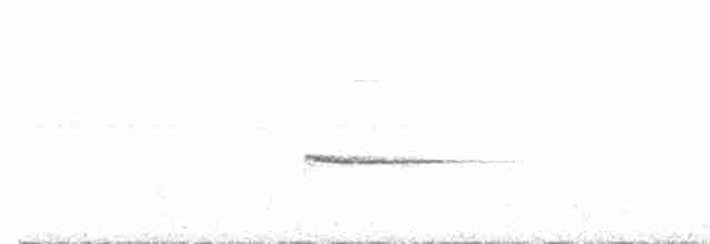 Troglodyte siffleur - ML491939581