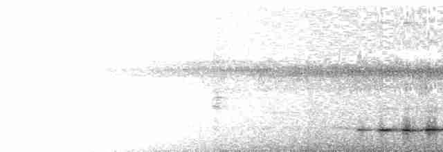 Turuncu Karınlı Yerçavuşu - ML491983831