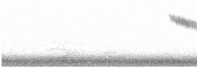 Rotdrossel (iliacus) - ML492011261