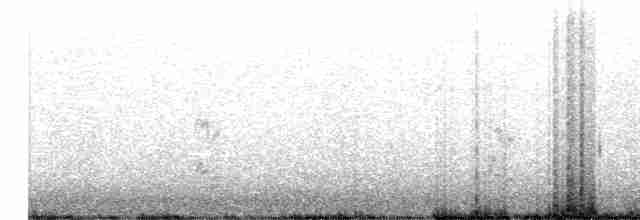 Chestnut-collared Longspur - ML492017391