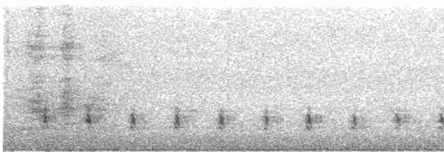 Magellanic Snipe - ML492166871