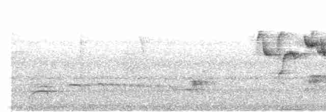 Тёмногорлый колибри-отшельник - ML492352421