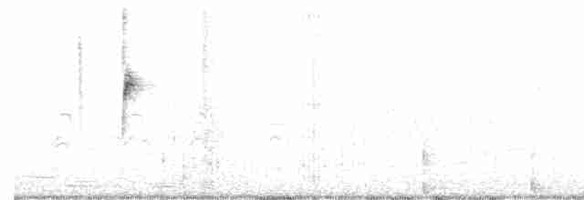 hvitkronespurv - ML492425021