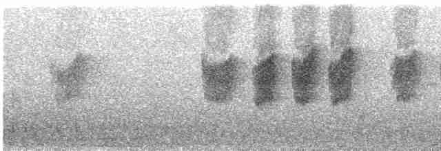 Вилохвістка плямиста - ML492441731