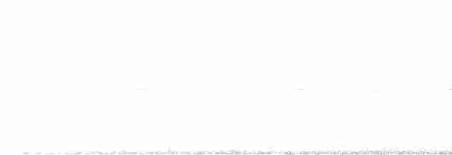 Braunhals-Nachtschwalbe - ML492585571
