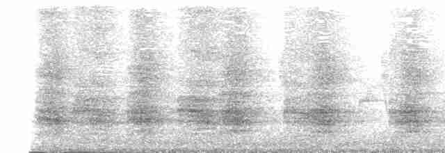 Kestane Karınlı Kılavuz - ML492592801