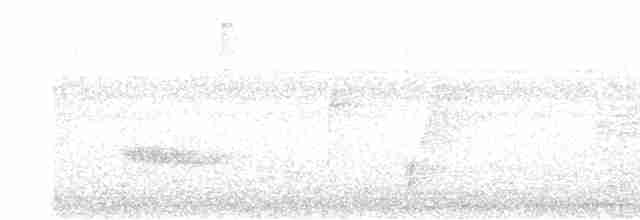 Gözlüklü Yerçavuşu - ML492623361