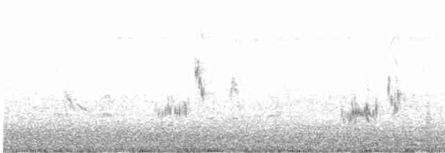 Loggerhead Shrike - ML492638881