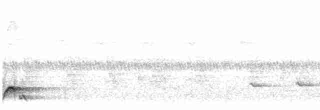 Ardıç Benekli Kıvrıkgaga - ML492675501