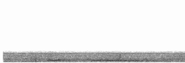 Борнейская воронья кукушка - ML492738851