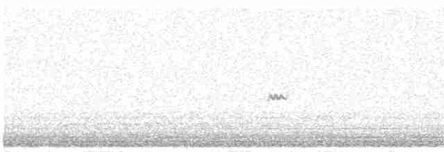 オバシギ属（トウネンの種） - ML492794391