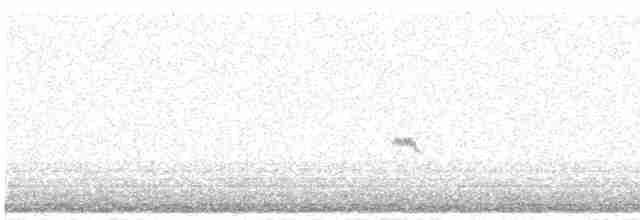 Calidris sp. (petit bécasseau sp.) - ML492794411