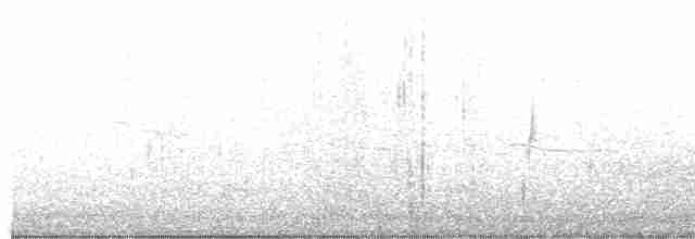 tyranovec malinký - ML492816081