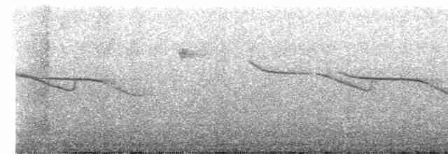 Band-winged Nightjar - ML492840821