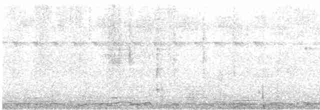 Eurasian Kestrel (Rufescent) - ML492865981