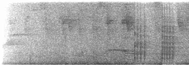 Toucan montagnard - ML492899531