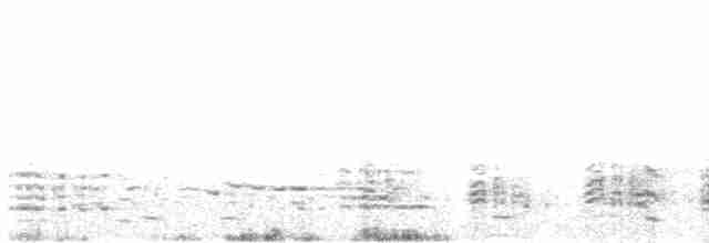 オーストラリアシロカツオドリ - ML492992301