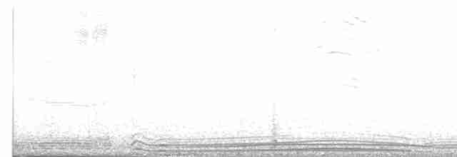 Wedge-tailed Shearwater - ML493089631