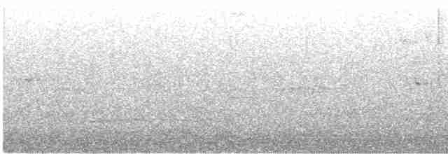 potápka rudokrká - ML493114411