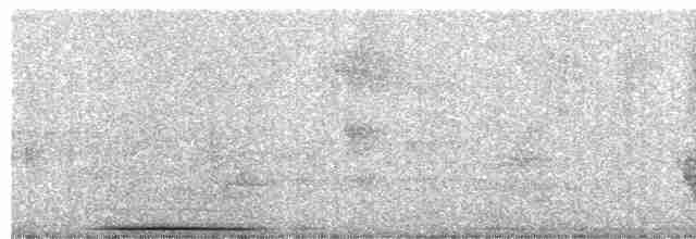 holub šedočelý - ML493150651