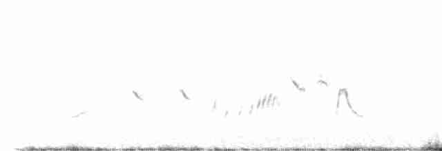 Rufous Fieldwren - ML493246191