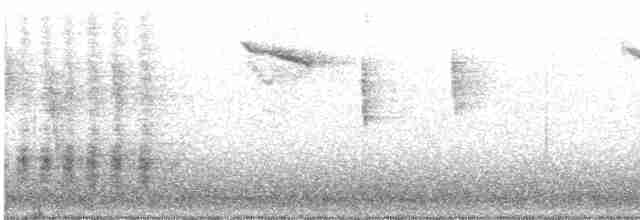 Spotted Flycatcher - ML493353051