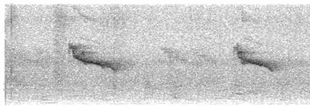 Rostflanken-Brillenvogel - ML493361481