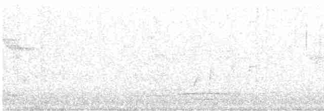 Gray Wagtail - ML493414011
