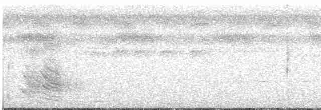 Azure-naped Jay (Campina) - ML493437101