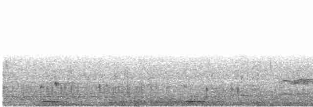 Lyre-tailed Nightjar - ML493503151