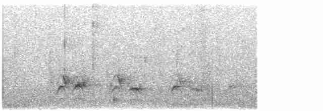 Lyre-tailed Nightjar - ML493503161