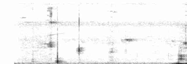 Желтоклювый саблеклюв - ML493598911