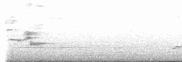 黑領椋鳥 - ML493674181