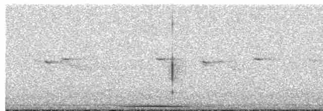 holub šedočelý - ML493817791
