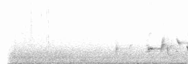 White-spectacled Bulbul - ML493855261
